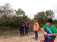 2018-11-12 14.20.43 (Grand)